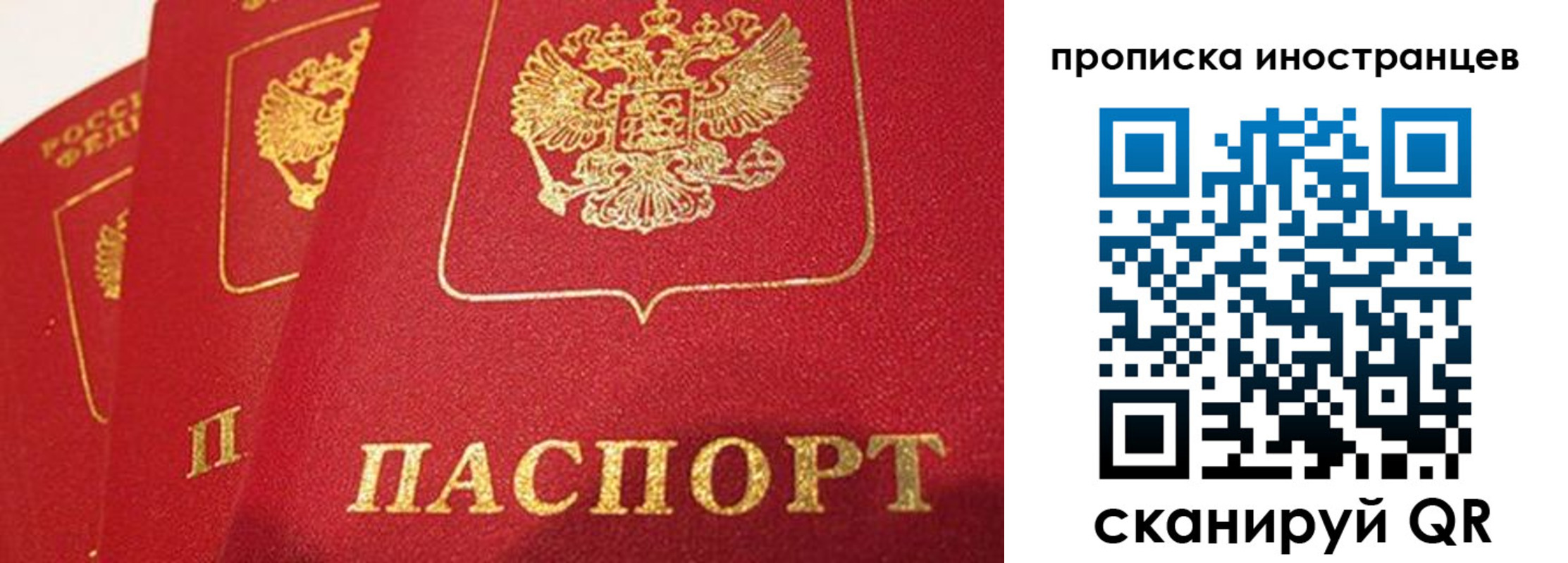 прописка поиск в Черноголовке