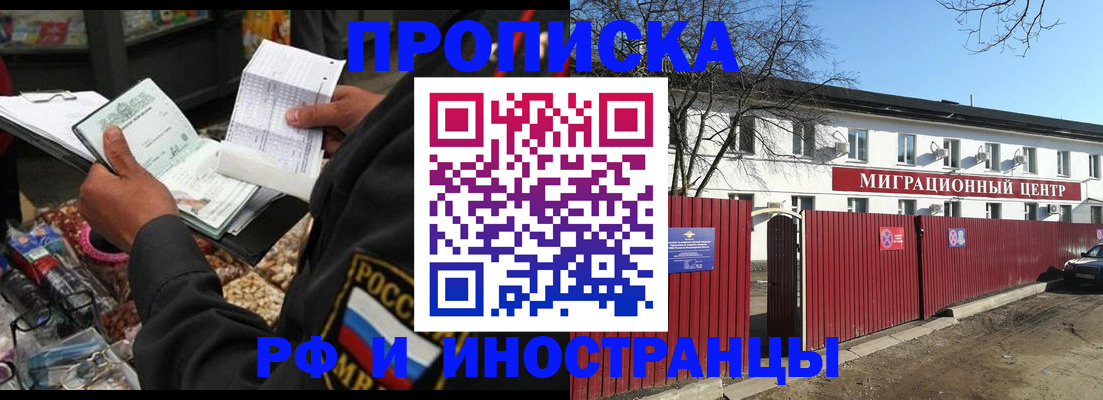 прописка поиск в Черноголовке